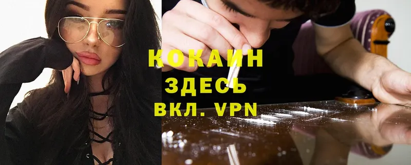 Cocaine VHQ  blacksprut как зайти  Шуя 